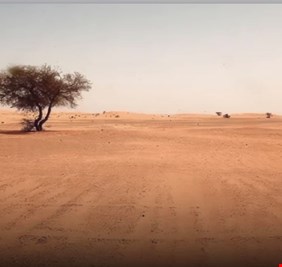 وزارة الزراعة: إعلان نتائج أول دراسة وطنية لقياس التصحر في الناصرية والصويرة وتلعفر قريباً