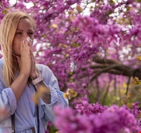 هدية جميلة قد تتحول إلى كابوس.. أزهار شائعة تثير الحساسية