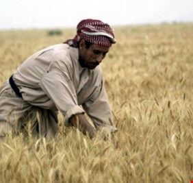 مستحقات الحنطة تعيد الفلاحين إلى الشارع