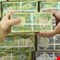 7.4 تريليونات دينار شهرياً.. رواتب الموظفين والرعاية الاجتماعية تستنزف الإنفاق العراقي