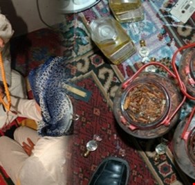 تزايد الاقبال على 