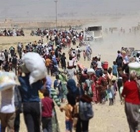 لقاء وردي: وزارة الهجرة والمهجرين تخفق في اداء مهامها