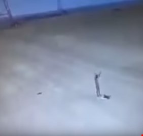 بالفيديو هزيمة واستسلام أفراد داعش