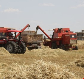 واسط تنفي شراء الحنطة الايرانية