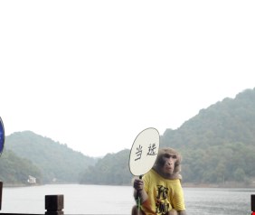 ماذا قال قرد التوقعات الصيني عن انتخابات أمريكا؟