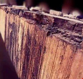 تفاصيل وأرقام جديدة صادمة في مجزرة سبايكر