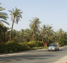 الإمارات تشتري أراضي ابو الخصيب سرا