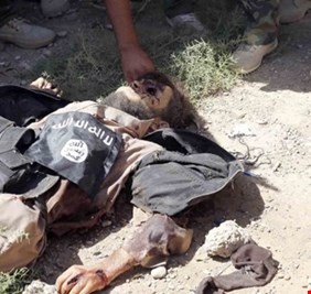 رؤوس داعش الكبيرة تتهاوى , القضاء على المفتي الشرعي الجديد