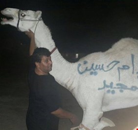 بعران صدام تظهر في الأردن