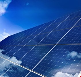 قبيلة تونسية تؤجر 