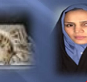 اعتقال عصابة (حسناء بغداد) المتخصصة بخطف الشباب