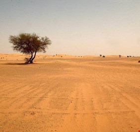 مالذي يجري في صحراء الانبار، وما المطلوب من رئيس الوزراء فعله قبل وقوع الكارثة؟