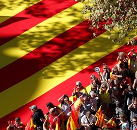 منحى جديد يسوق 