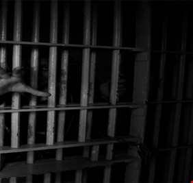 مقاتلو داعش أكلوا سجيناً في القائم بعد ان حاصرهم الجيش وقطع عنهم الإمداد .. تعرف على هذه الجريمة البشعة بلسان احدهم !