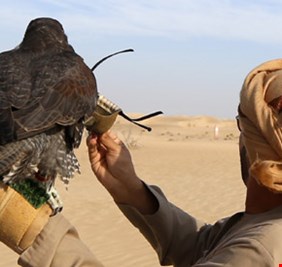 عمليات الرافدين تعلن اعتقال 13 صيادا بينهم 8 كويتيين في بادية السماوة