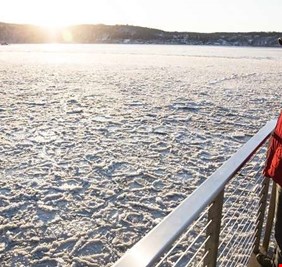 موجة صقيع تشل الحركة في القارة الأمريكية