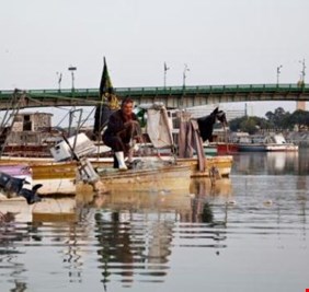 الزراعة تمنع صيد الأسماك وتسويقها في ست محافظات