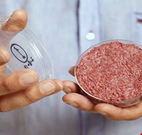 عالم يطرح فكرة مثيرة للجدل حول 