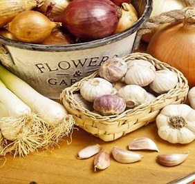 كيف تخلص فمك من رائحة الثوم والبصل؟