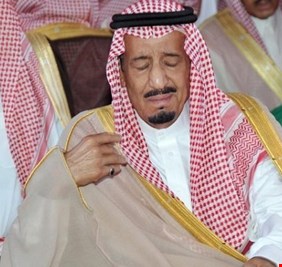 المغرد السعودي 