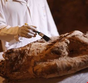 اكتشاف رسالة مخفية على مومياء مصرية