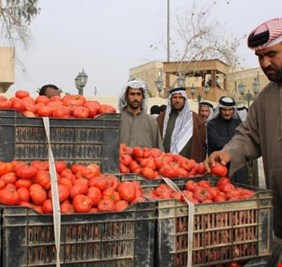 الزراعة تصدر بياناً بشأن ارتفاع اسعار بعض الخضر
