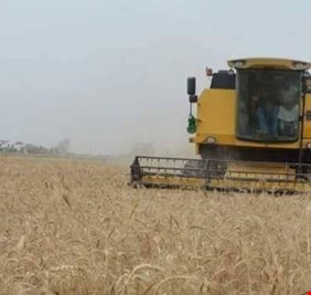 واسط تحذر من جفاف الاراضي وهجرة فلاحية وتدعو لاعادة النظر بالخطة الزراعية