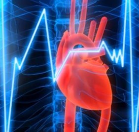المؤشرات الصحية لتسارع نبض القلب وتباطؤه