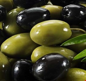 اكتشاف مادة في الزيتون تقضي على أخطر أمراض العصر!