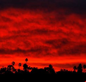 ارتفاع حصيلة ضحايا حرائق غابات كاليفورنيا إلى 66 شخصا