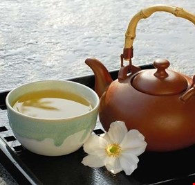 الشاي الأخضر مفيد للعظام