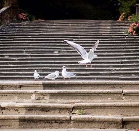 علماء يكشفون مفتاح تجنب الوفاة المبكرة!