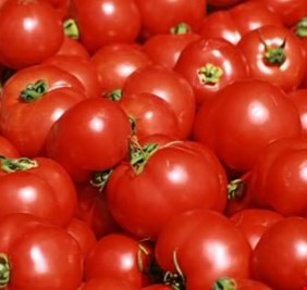 الزراعة: مستمرون بمنع استيراد محصول الطماطم وغير مسؤولين عن دخول المستورد