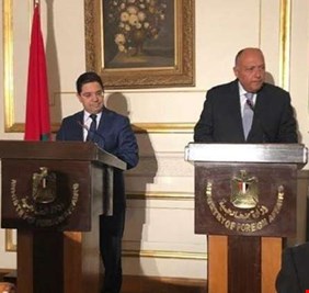 شكري: عودة سوريا للجامعة العربية مرهون بقرار من مجلسها