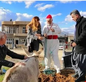 حمار لديه (واسطة) يصل الى أمريكا للعلاج. والاطفال بلا علاج في كردستان