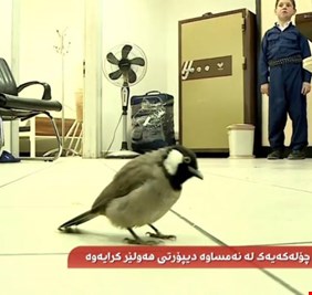 السلطات النمساوية تعيد من مطار فينا 