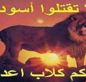 لا تقتلوا اسودكم فتأكلكم كلاب عدوكم