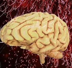 5 ممارسات لتحسين عمل الدماغ