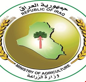 الزراعة تبدي استعدادها لتصدير التمور العراقية إلى استراليا
