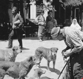 العراق اليوم تتابع قصة الرجل الذي كرس حياته لتربية الكلاب الضالة في تركيا