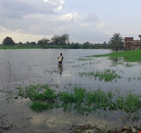 المالية النيابية: ميسان خسرت مليون و200 دونم زراعي جراء السيول والفيضانات