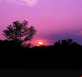 القمر الوردي يطل على الأرض في 