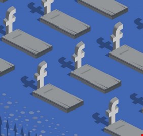 فيسبوك يتحول إلى 