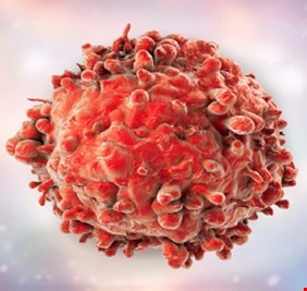 علماء يبشرون بعلاج السرطان نهائيا خلال 10 أعوام!