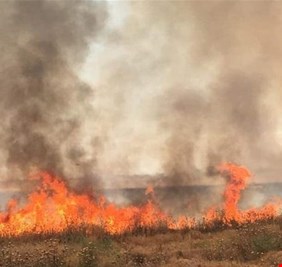 الجمعيات الفلاحية تدعو عبد المهدي للتدخل وايقاف الحرائق بحقول الحنطة والشعير
