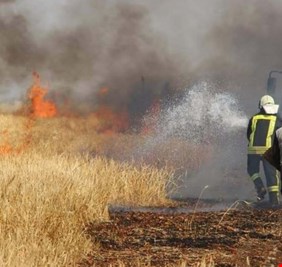 نائب شجاع يسمي الدول التي تقف وراء احراق المحاصيل الزراعية