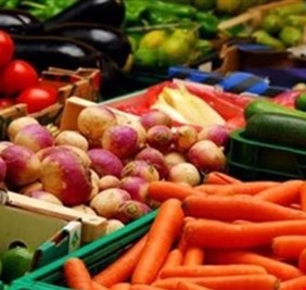 الزراعة تدعو المنافذ الى تشديد اجراءاتها بشأن المحاصيل الممنوعة من الاستيراد