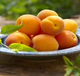 أطباء القلب ينصحون بالإقبال على تناول المشمش