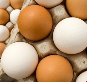 الزراعة ترفض طلبا تركيا بفتح استيراد البيض التركي