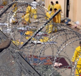 نائبة تطالب بالعفو العام عن 